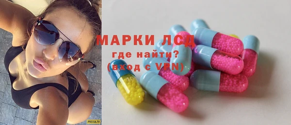 apvp Алзамай
