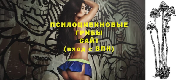 шишки Россошь
