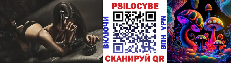 Галлюциногенные грибы Psilocybe  наркотики  mega как зайти  Злынка 